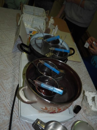 P1010025 (Small).JPG